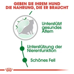 Royal Canin Mini Ageing 12+ - Hundefutter 12 Royal Canin Mini Ageing 12+ - Hundefutter -Günstiges Bellohaus Geschäft royal canin mini ageing 12 hondenvoer 128927 0500 none