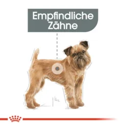 Royal Canin Mini Dental Care - Hundefutter 11 Royal Canin Mini Dental Care - Hundefutter -Günstiges Bellohaus Geschäft royal canin mini dental care hondenvoer 130985 0500 none
