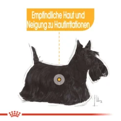 Royal Canin Dermacomfort Mini - Hundefutter -Günstiges Bellohaus Geschäft royal canin mini dermacomfort hondenvoer 132977 0500 none