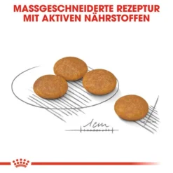 Royal Canin Dermacomfort Mini - Hundefutter -Günstiges Bellohaus Geschäft royal canin mini dermacomfort hondenvoer 132995 0500 none