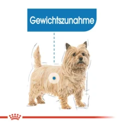 Royal Canin Mini Light Weight Care - Hundefutter 13 Royal Canin Mini Light Weight Care - Hundefutter -Günstiges Bellohaus Geschäft royal canin mini light weight care hondenvoer 132725 0500 none