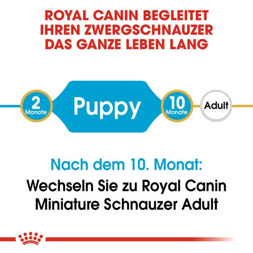 Royal Canin Mini Schnauzer Puppy - Hundefutter 6 Royal Canin Mini Schnauzer Puppy - Hundefutter - Image 4