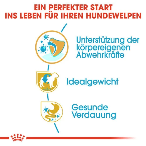 Royal Canin Mini Schnauzer Puppy - Hundefutter 4 Royal Canin Mini Schnauzer Puppy - Hundefutter - Image 2