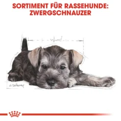 Royal Canin Mini Schnauzer Puppy - Hundefutter 11 Royal Canin Mini Schnauzer Puppy - Hundefutter -Günstiges Bellohaus Geschäft royal canin mini schnauzer puppy hondenvoer 140182 0500 none