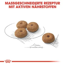 Royal Canin Mini Sterilised - Hundefutter -Günstiges Bellohaus Geschäft royal canin mini sterilised hondenvoer 133247 0500 none