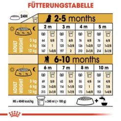 Royal Canin Poodle Puppy - Hundefutter -Günstiges Bellohaus Geschäft royal canin poodle puppy hondenvoer 139762 0500 none