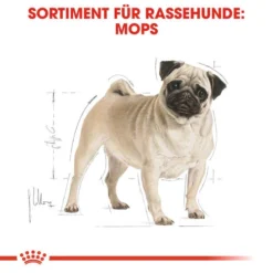 Royal Canin Pug Adult - Hundefutter 12 Royal Canin Pug Adult - Hundefutter -Günstiges Bellohaus Geschäft royal canin pug adult hondenvoer 139798 0500 none