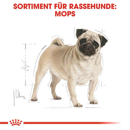 Royal Canin Pug Adult - Hundefutter 6 Royal Canin Pug Adult - Hundefutter - Image 4