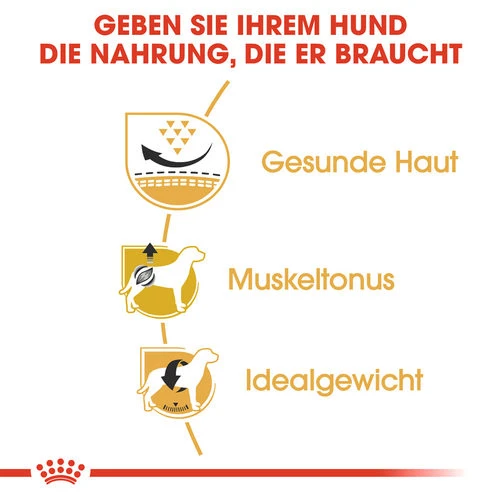 Royal Canin Pug Adult - Hundefutter 4 Royal Canin Pug Adult - Hundefutter - Image 2