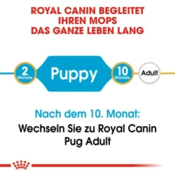 Royal Canin Pug Puppy - Hundefutter 14 Royal Canin Pug Puppy - Hundefutter -Günstiges Bellohaus Geschäft royal canin pug puppy hondenvoer 139858 0500 none