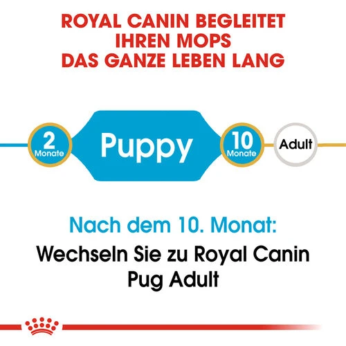 Royal Canin Pug Puppy - Hundefutter 7 Royal Canin Pug Puppy - Hundefutter - Image 5