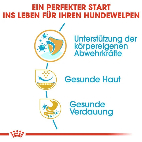 Royal Canin Pug Puppy - Hundefutter 4 Royal Canin Pug Puppy - Hundefutter - Image 2