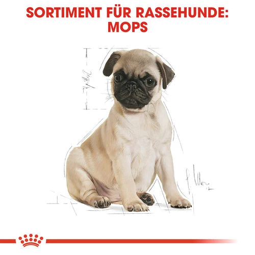 Royal Canin Pug Puppy - Hundefutter 6 Royal Canin Pug Puppy - Hundefutter - Image 4