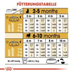 Royal Canin Pug Puppy - Hundefutter 16 Royal Canin Pug Puppy - Hundefutter -Günstiges Bellohaus Geschäft royal canin pug puppy hondenvoer 139894 0500 none