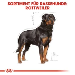 Royal Canin Rottweiler Adult - Hundefutter -Günstiges Bellohaus Geschäft royal canin rottweiler adult hondenvoer 139936 0500 none