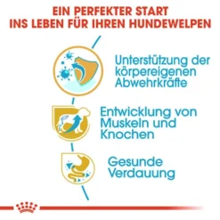 Royal Canin Rottweiler Puppy - Hundefutter 11 Royal Canin Rottweiler Puppy - Hundefutter -Günstiges Bellohaus Geschäft royal canin rottweiler puppy hondenvoer 140020 0500 none