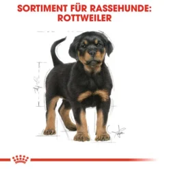 Royal Canin Rottweiler Puppy - Hundefutter 13 Royal Canin Rottweiler Puppy - Hundefutter -Günstiges Bellohaus Geschäft royal canin rottweiler puppy hondenvoer 140029 0500 none