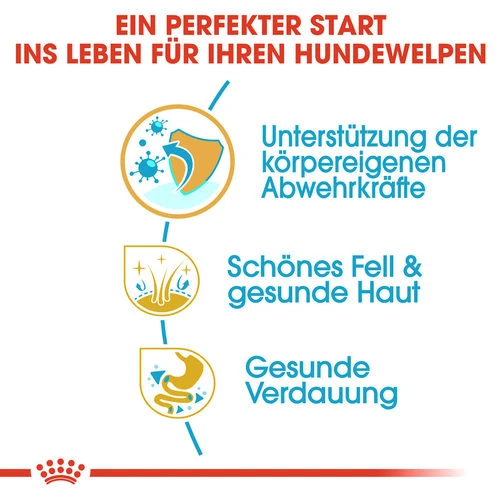 Royal Canin Shih Tzu Puppy - Hundefutter 4 Royal Canin Shih Tzu Puppy - Hundefutter - Image 2