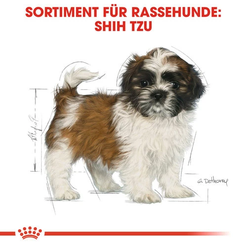 Royal Canin Shih Tzu Puppy - Hundefutter 6 Royal Canin Shih Tzu Puppy - Hundefutter - Image 4