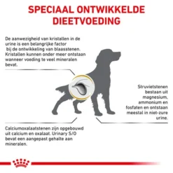 Royal Canin Urinary S/O Hund 16 Royal Canin Urinary S/O Hund -Günstiges Bellohaus Geschäft royal canin urinary so hond 153691 0500 none