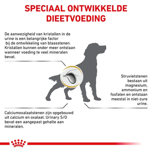 Royal Canin Urinary S/O Hund 8 Royal Canin Urinary S/O Hund – Bild 7