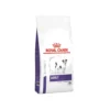 Royal Canin VCN - Adult Small Dog -Günstiges Bellohaus Geschäft royal canin vcn adult small dog 217740 0500 none