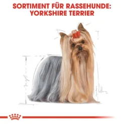 Royal Canin Yorkshire Terrier Adult - Hundefutter -Günstiges Bellohaus Geschäft royal canin yorkshire terrier adult hondenvoer 140714 0500 none
