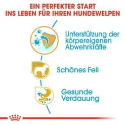 Royal Canin Yorkshire Terrier Puppy - Hundefutter 11 Royal Canin Yorkshire Terrier Puppy - Hundefutter -Günstiges Bellohaus Geschäft royal canin yorkshire terrier puppy hondenvoer 140795 0500 none