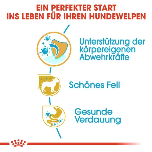 Royal Canin Yorkshire Terrier Puppy - Hundefutter 4 Royal Canin Yorkshire Terrier Puppy - Hundefutter - Image 2