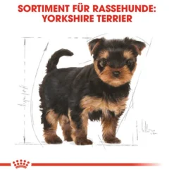 Royal Canin Yorkshire Terrier Puppy - Hundefutter 13 Royal Canin Yorkshire Terrier Puppy - Hundefutter -Günstiges Bellohaus Geschäft royal canin yorkshire terrier puppy hondenvoer 140804 0500 none