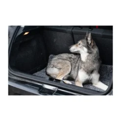 Royal Dry Doormat -Günstiges Bellohaus Geschäft royal dry doormat 187417 0500 none