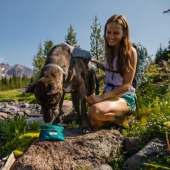 Ruffwear Flat Out Dog Collar - Alpenglow Burst 9 Ruffwear Flat Out Dog Collar - Alpenglow Burst -Günstiges Bellohaus Geschäft ruffwear flat out dog collar alpenglow burst 204812 0500 none