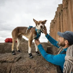 Ruffwear Grip Trex Boots -Günstiges Bellohaus Geschäft ruffwear grip trex boots 204740 0500 none