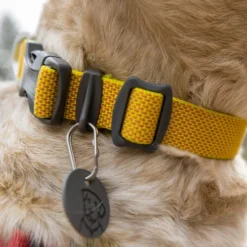 Ruffwear Hi & Light Halsband 12 Ruffwear Hi & Light Halsband -Günstiges Bellohaus Geschäft ruffwear hi light collar 194258 0500 none