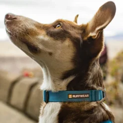 Ruffwear Hi & Light Halsband 11 Ruffwear Hi & Light Halsband -Günstiges Bellohaus Geschäft ruffwear hi light collar 194264 0500 none