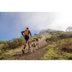 Ruffwear Hi & Light Harness -Günstiges Bellohaus Geschäft ruffwear hi light harness 196016 0500 none