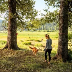 Ruffwear Knot-a-Hitch 8 Ruffwear Knot-a-Hitch -Günstiges Bellohaus Geschäft ruffwear knot a hitch 124643 0500 none