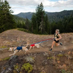 Ruffwear Roamer Leash - Blue Atoll -Günstiges Bellohaus Geschäft ruffwear roamer leash blue atoll 204800 0500 none