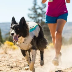 Ruffwear Swamp Cooler 21 Ruffwear Swamp Cooler -Günstiges Bellohaus Geschäft ruffwear swamp cooler 124703 0500 none