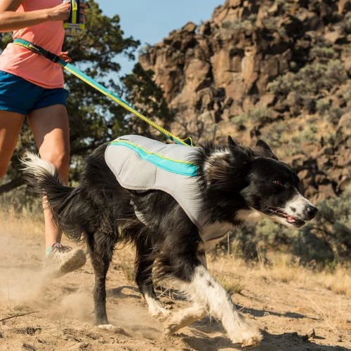 Ruffwear Swamp Cooler 4 Ruffwear Swamp Cooler - Image 2