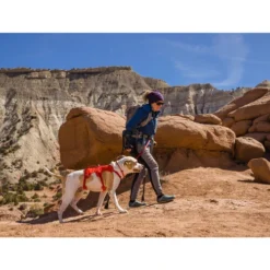 Ruffwear Webmaster Harness -Günstiges Bellohaus Geschäft ruffwear webmaster harness 217118 0500 none