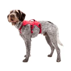 Ruffwear Webmaster Harness -Günstiges Bellohaus Geschäft ruffwear webmaster harness 88447 0500 none