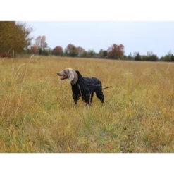 RukkaPets Protect Overall -Günstiges Bellohaus Geschäft rukkapets protect overall zwart 216401 0500 none