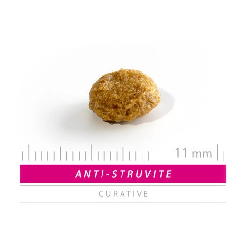 SANIMED Anti Struvite Dog 4 SANIMED Anti Struvite Dog - Image 2