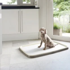 Savic Puppy Trainer + Pads -Günstiges Bellohaus Geschäft savic puppy trainer pads 163498 0500 none