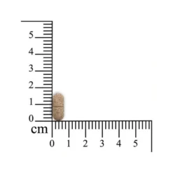 Sensipharm Inconti Stop Hund 7 Sensipharm Inconti Stop Hund -Günstiges Bellohaus Geschäft sensipharm inconti stop hond 174532 0500 none