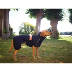 Siccaro WetDog SupremePro 11 Siccaro WetDog SupremePro -Günstiges Bellohaus Geschäft siccaro wetdog supremepro 20 216995 0500 none