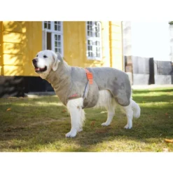 Siccaro WetDog SupremePro 10 Siccaro WetDog SupremePro -Günstiges Bellohaus Geschäft siccaro wetdog supremepro 20 216997 0500 none