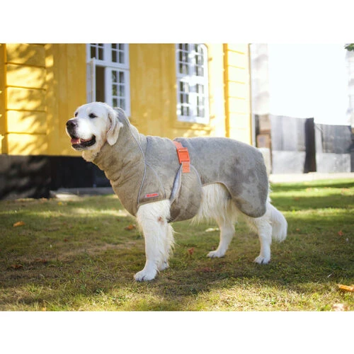 Siccaro WetDog SupremePro 5 Siccaro WetDog SupremePro - Image 3