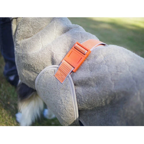 Siccaro WetDog SupremePro 4 Siccaro WetDog SupremePro - Image 2